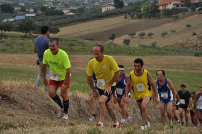 Premi per vedere l'immagine alla massima grandezza