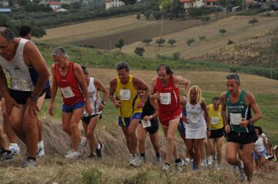 Premi per vedere l'immagine alla massima grandezza