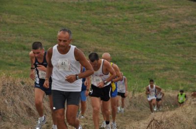 Premi per vedere l'immagine alla massima grandezza