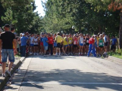 Premi per vedere l'immagine alla massima grandezza