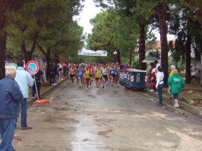 Premi per vedere l'immagine alla massima grandezza