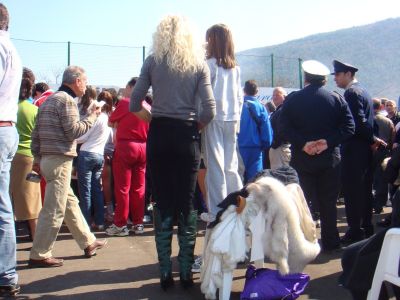 Premi per vedere l'immagine alla massima grandezza