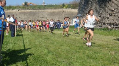 Premi per vedere l'immagine alla massima grandezza