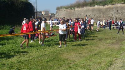 Premi per vedere l'immagine alla massima grandezza