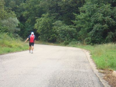 Premi per vedere l'immagine alla massima grandezza