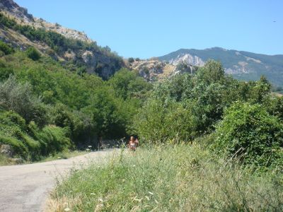 Premi per vedere l'immagine alla massima grandezza