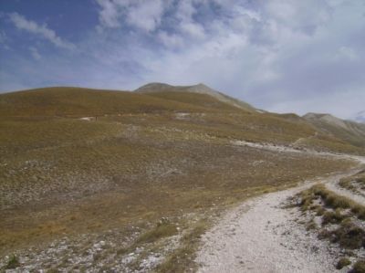 Premi per vedere l'immagine alla massima grandezza