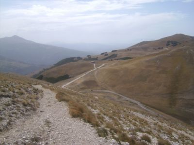 Premi per vedere l'immagine alla massima grandezza