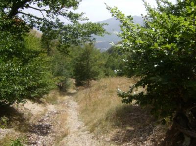 Premi per vedere l'immagine alla massima grandezza