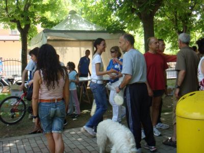 Premi per vedere l'immagine alla massima grandezza