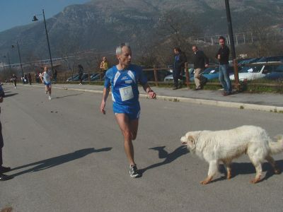 Premi per vedere l'immagine alla massima grandezza