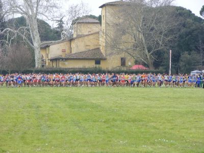 Premi per vedere l'immagine alla massima grandezza