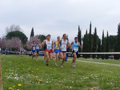 Premi per vedere l'immagine alla massima grandezza