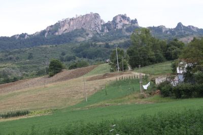 Premi per vedere l'immagine alla massima grandezza