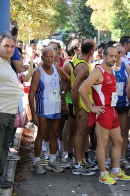 Premi per vedere l'immagine alla massima grandezza