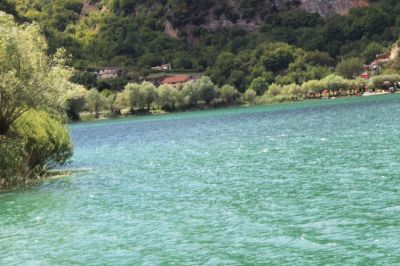 Premi per vedere l'immagine alla massima grandezza