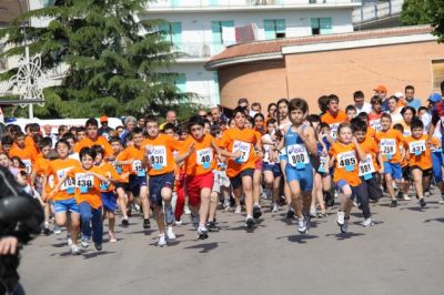 Premi per vedere l'immagine alla massima grandezza