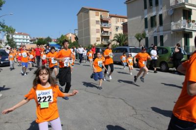 Premi per vedere l'immagine alla massima grandezza