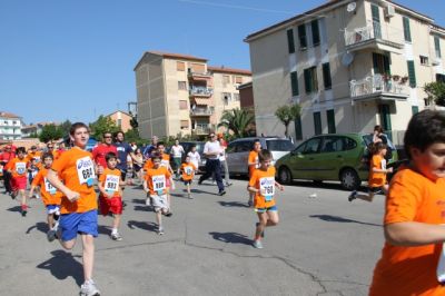 Premi per vedere l'immagine alla massima grandezza