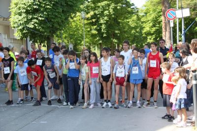 Premi per vedere l'immagine alla massima grandezza