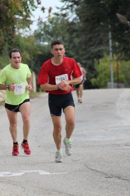 Premi per vedere l'immagine alla massima grandezza