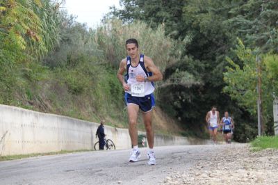 Premi per vedere l'immagine alla massima grandezza