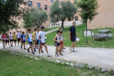 Premi per vedere l'immagine alla massima grandezza