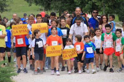 Premi per vedere l'immagine alla massima grandezza