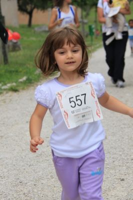 Premi per vedere l'immagine alla massima grandezza