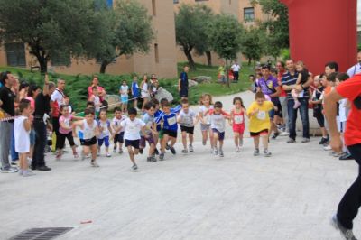 Premi per vedere l'immagine alla massima grandezza