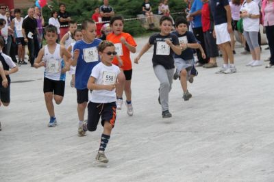 Premi per vedere l'immagine alla massima grandezza