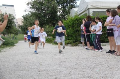 Premi per vedere l'immagine alla massima grandezza