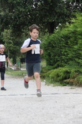 Premi per vedere l'immagine alla massima grandezza