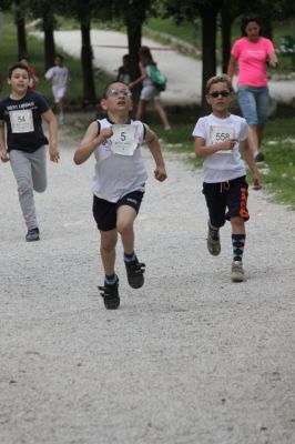 Premi per vedere l'immagine alla massima grandezza