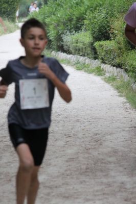 Premi per vedere l'immagine alla massima grandezza