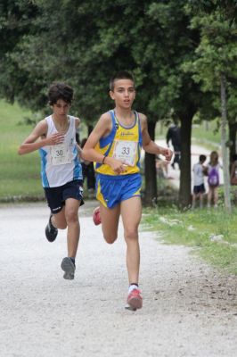 Premi per vedere l'immagine alla massima grandezza