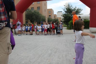 Premi per vedere l'immagine alla massima grandezza