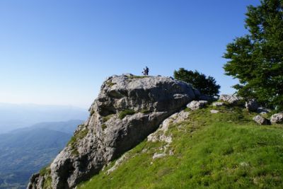 Premi per vedere l'immagine alla massima grandezza