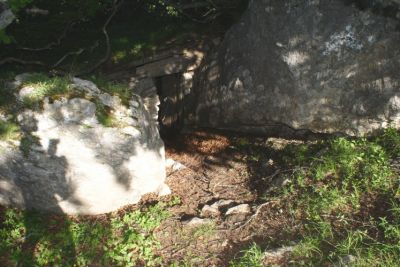 Premi per vedere l'immagine alla massima grandezza