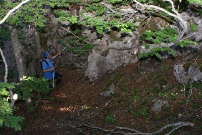 Premi per vedere l'immagine alla massima grandezza