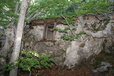 Premi per vedere l'immagine alla massima grandezza