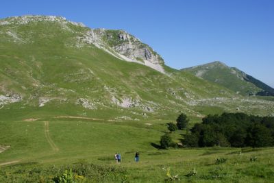 Premi per vedere l'immagine alla massima grandezza