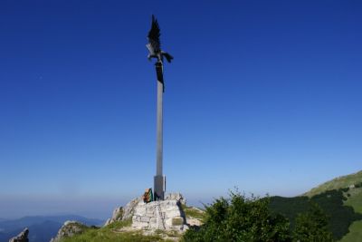 Premi per vedere l'immagine alla massima grandezza