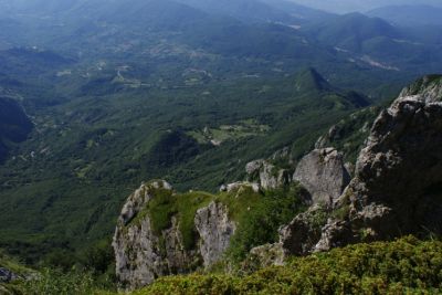 Premi per vedere l'immagine alla massima grandezza