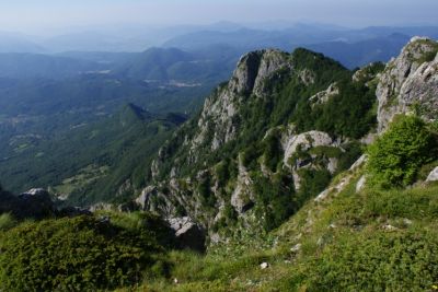 Premi per vedere l'immagine alla massima grandezza