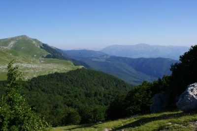 Premi per vedere l'immagine alla massima grandezza