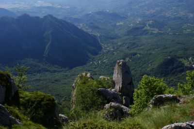 Premi per vedere l'immagine alla massima grandezza