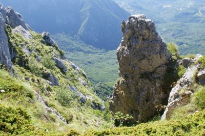 Premi per vedere l'immagine alla massima grandezza