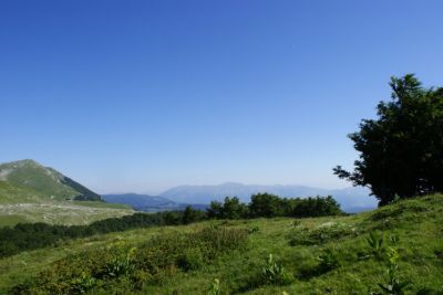 Premi per vedere l'immagine alla massima grandezza