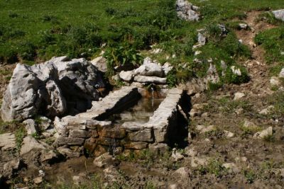 Premi per vedere l'immagine alla massima grandezza